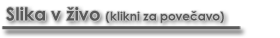 slika_v_zivo